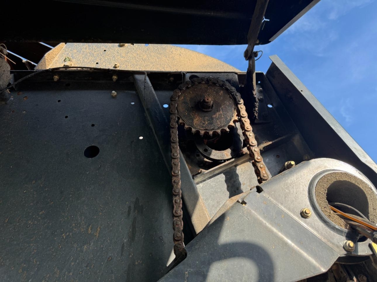 T16