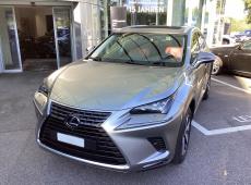 Lexus NX300H ID 476776