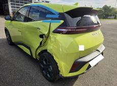 BYD Dolphin Surf 115kW ID 477043