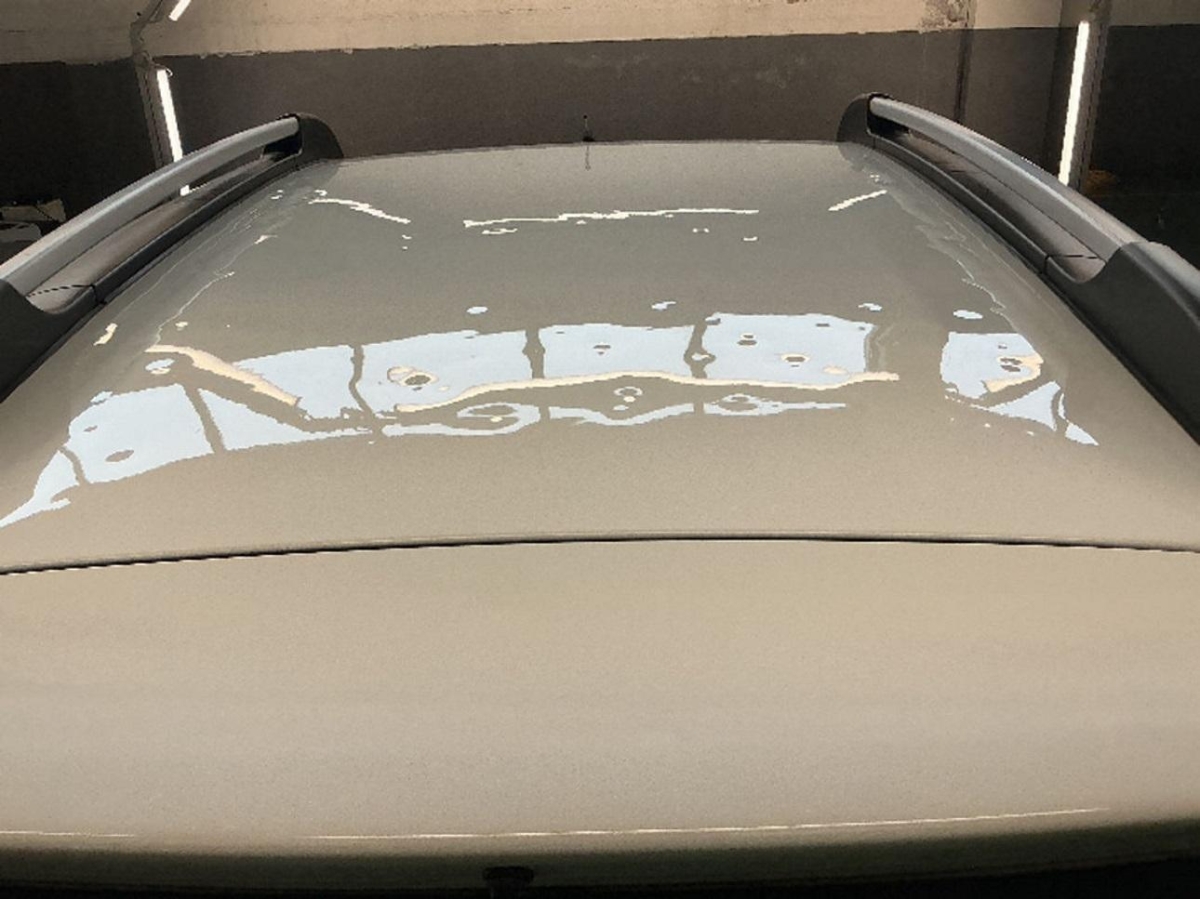 T17