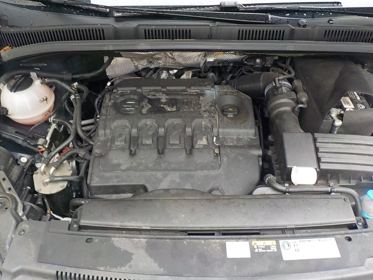 T11