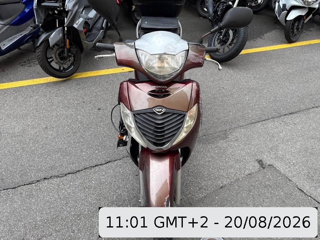 T5