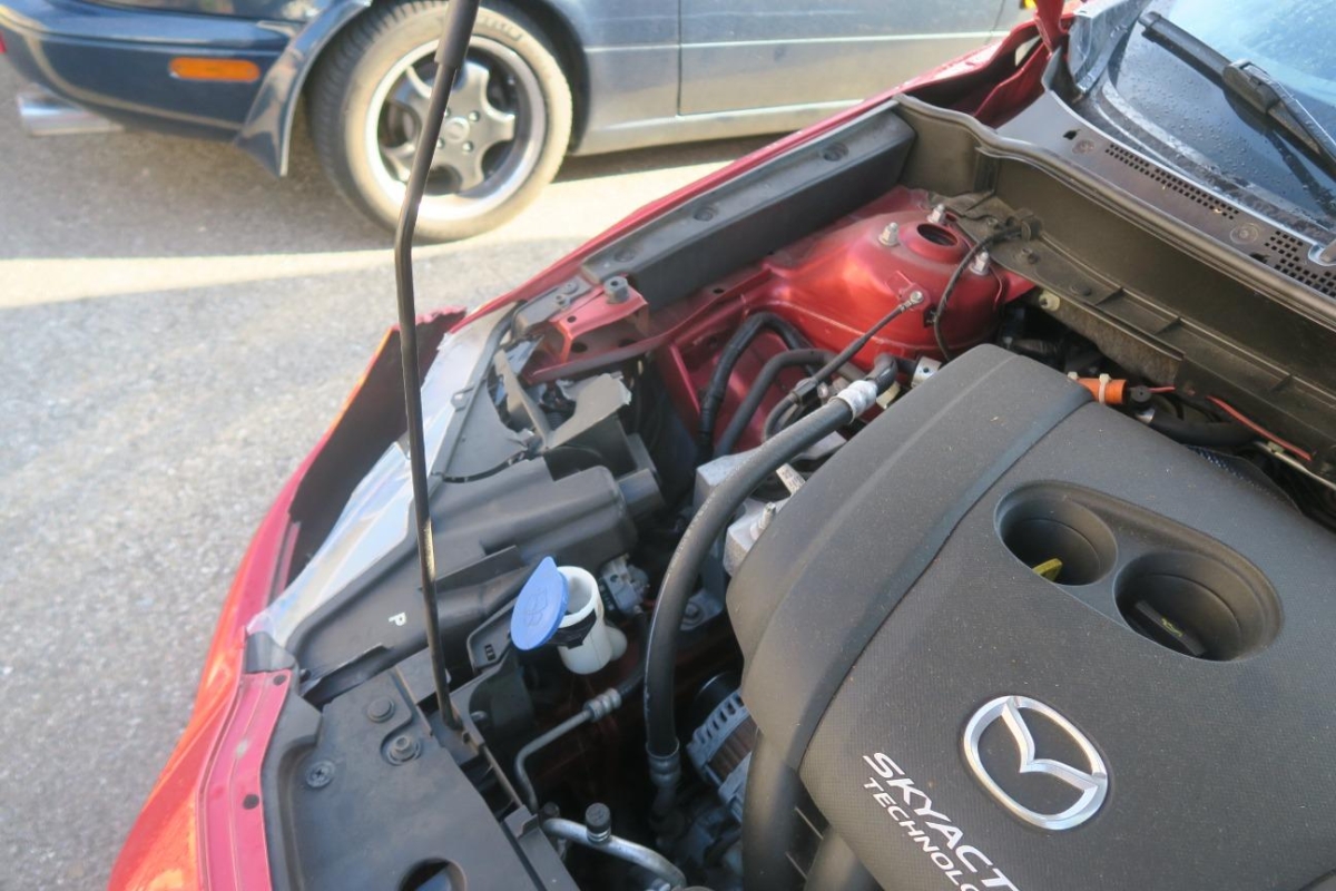 T18