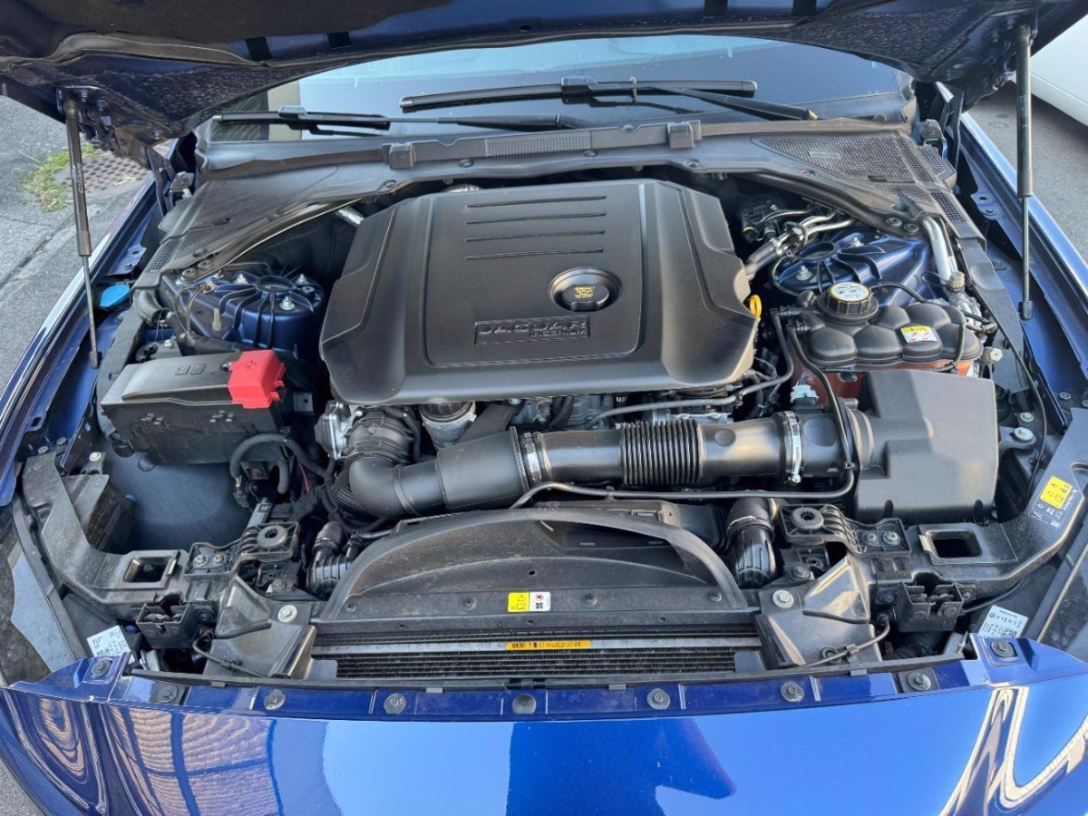 T11