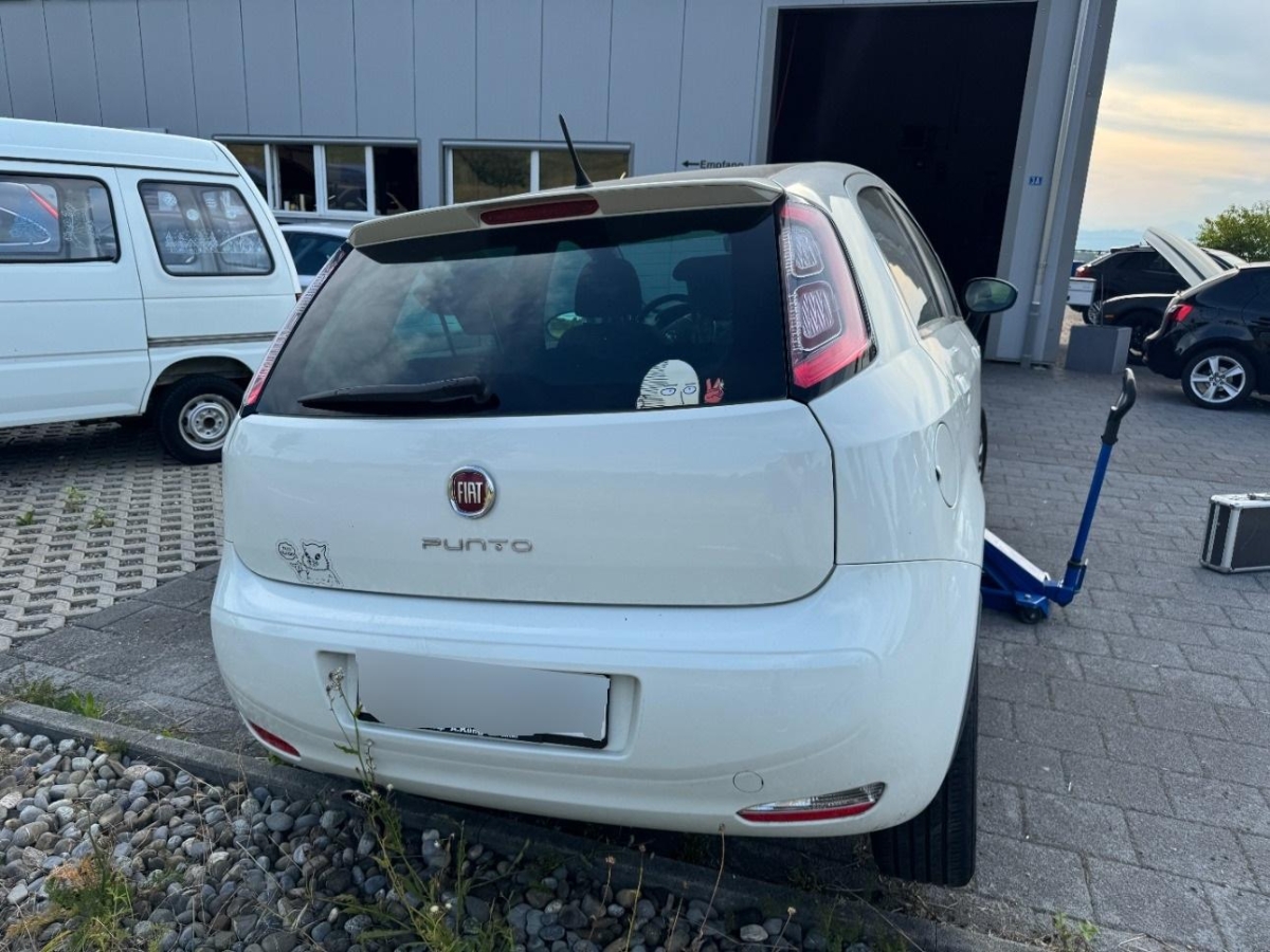 T5