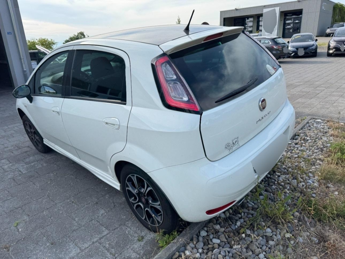 T6