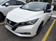 Nissan Leaf (119163 km)