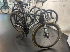 Tavelo Arow (500 km)