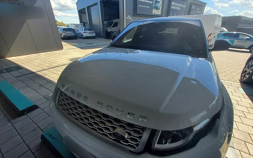 T8