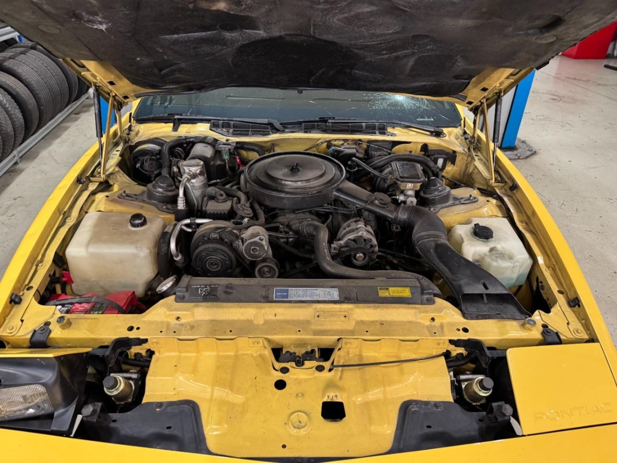 T10
