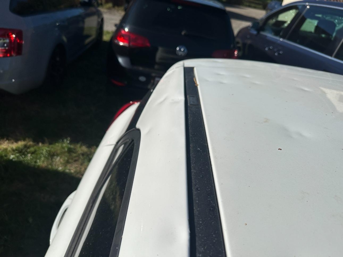 T11