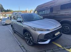MG HS (25000 km)