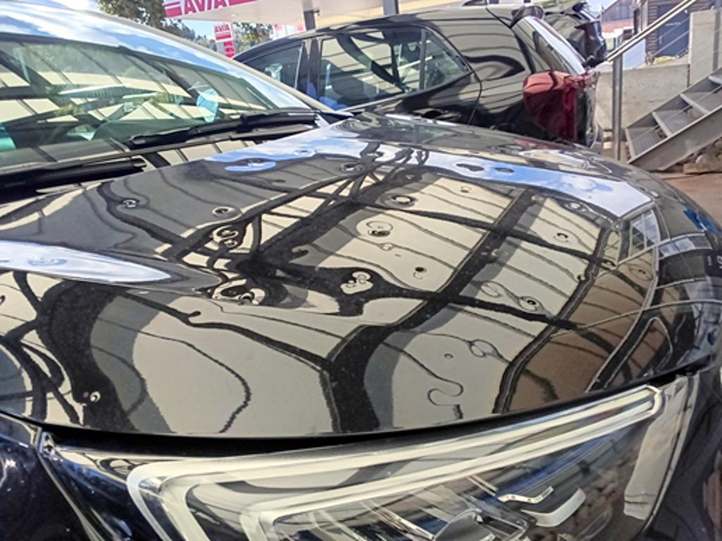 T7