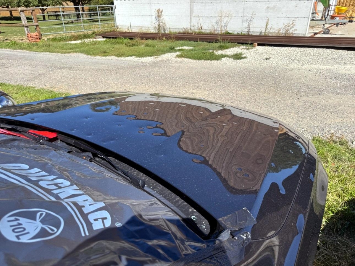 T10