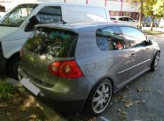 VW Golf V (263390 km)