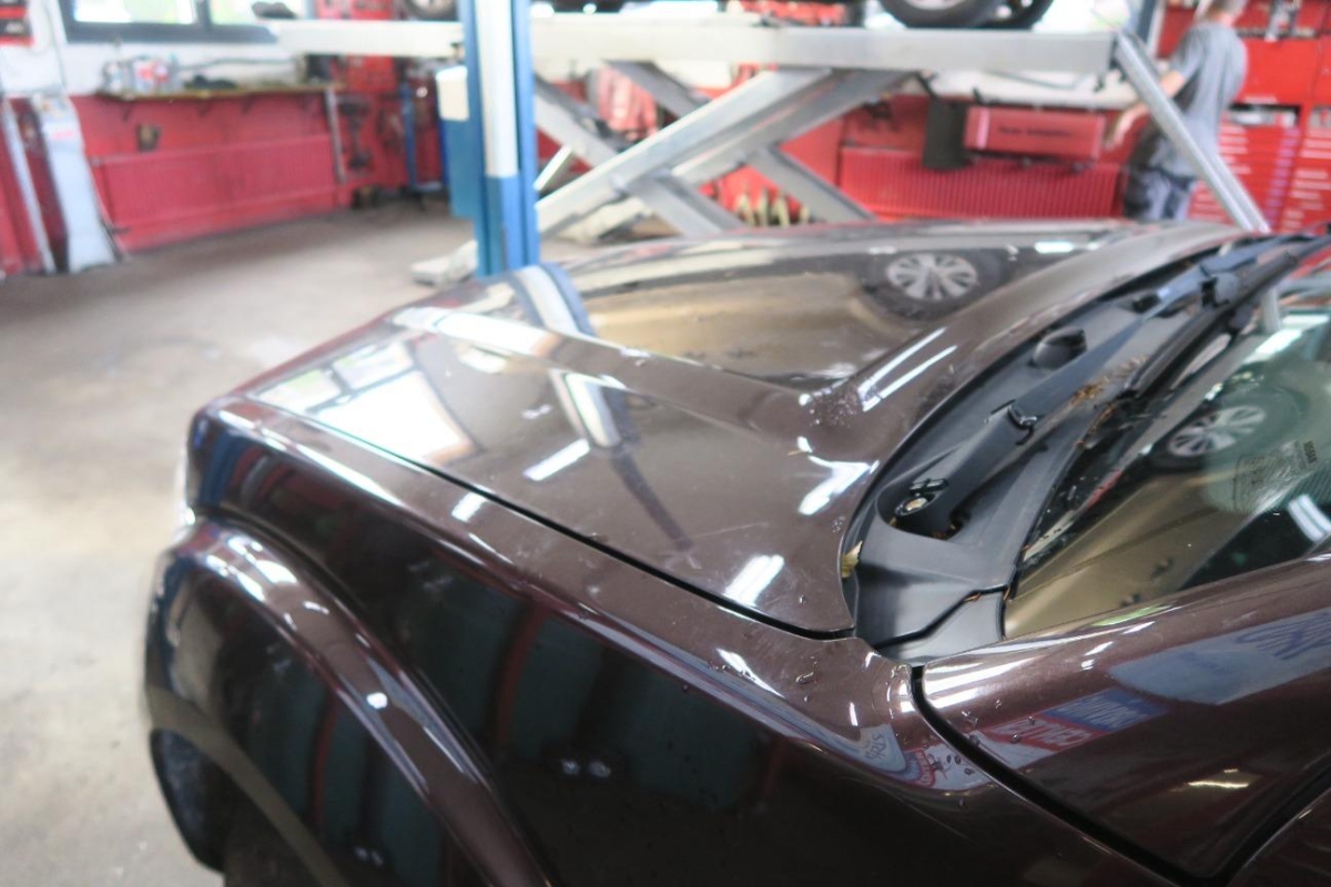 T11
