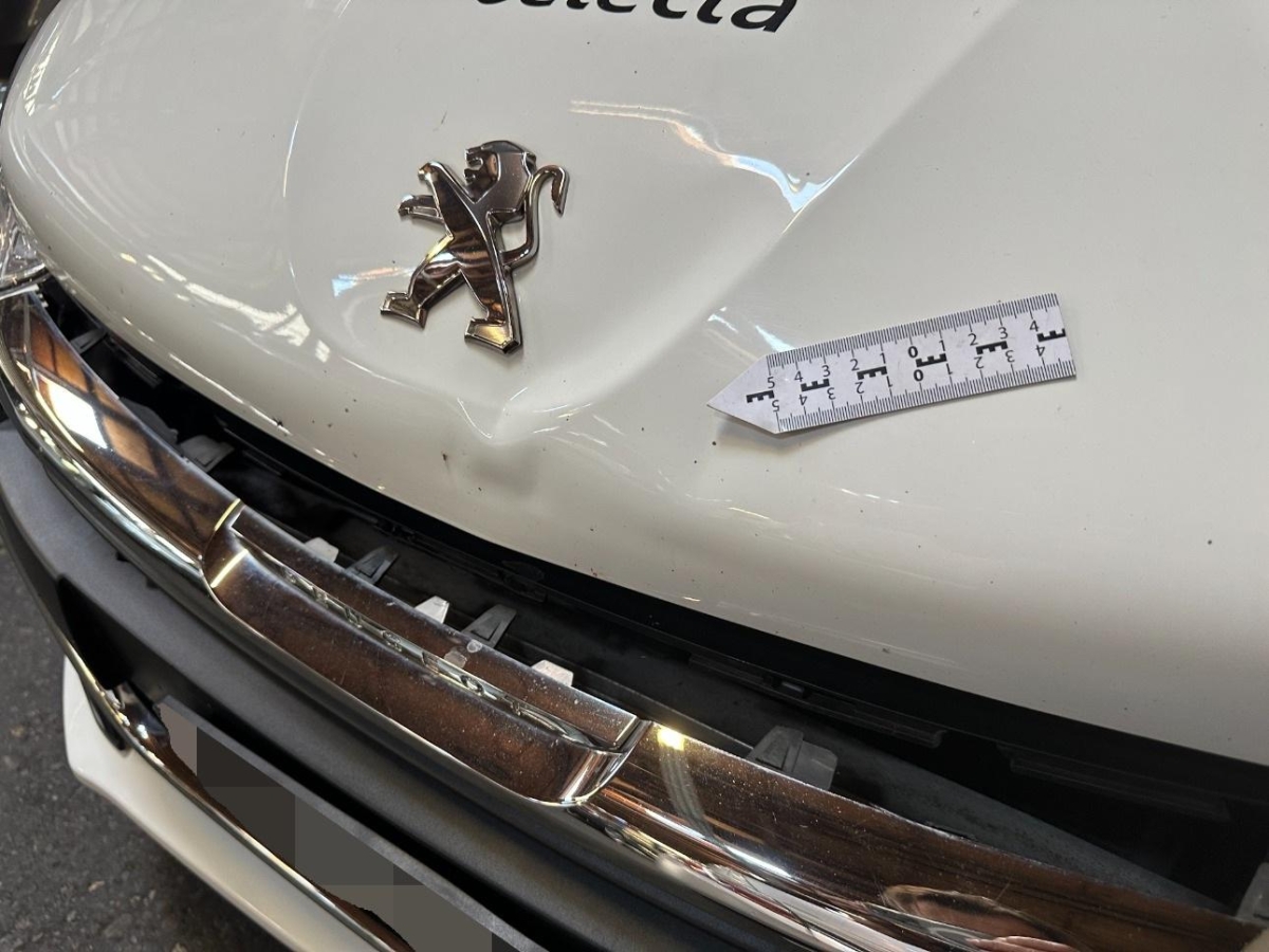 T12