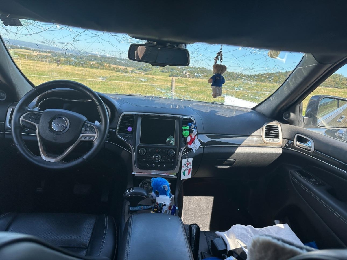 T6