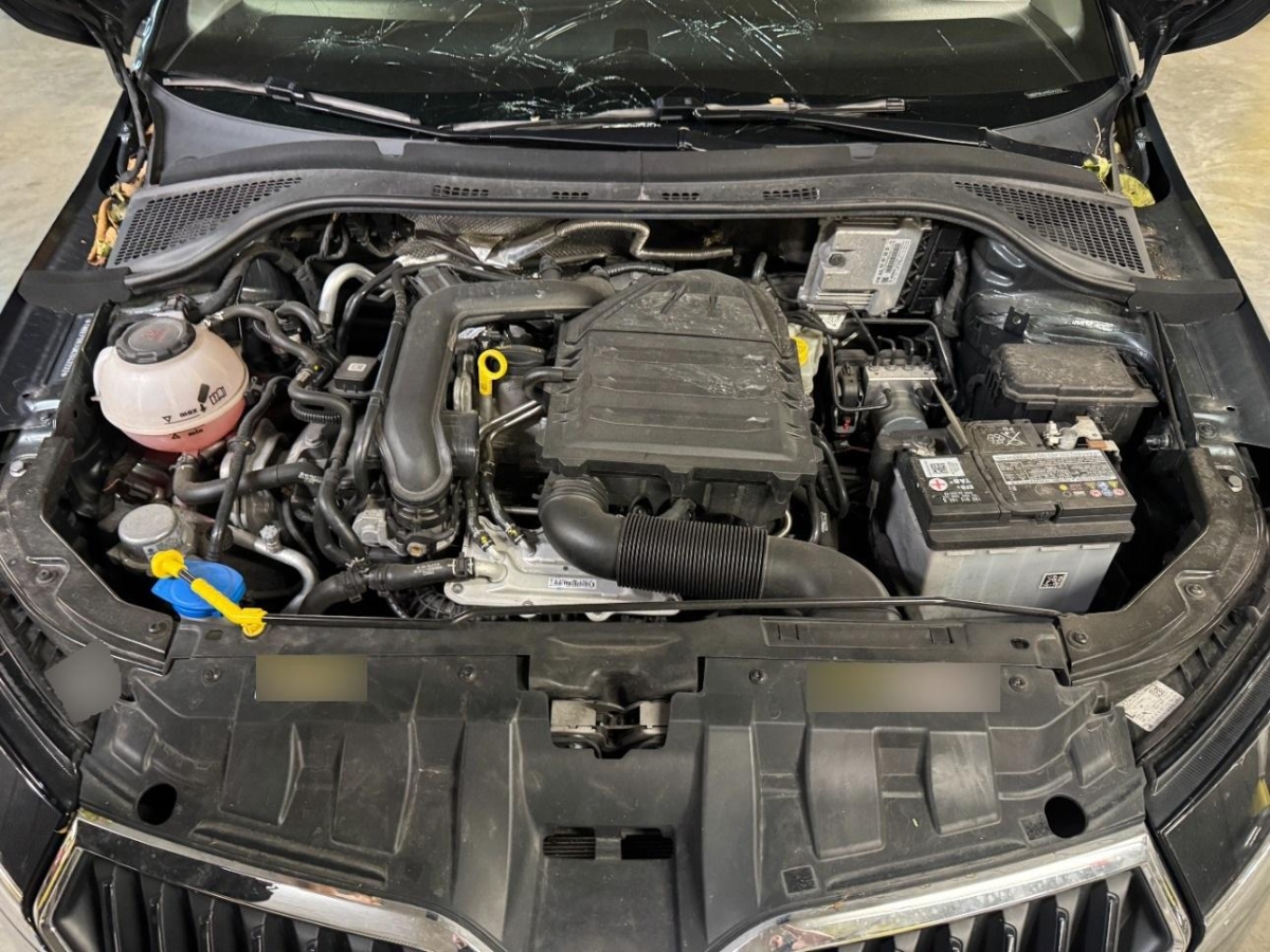 T11