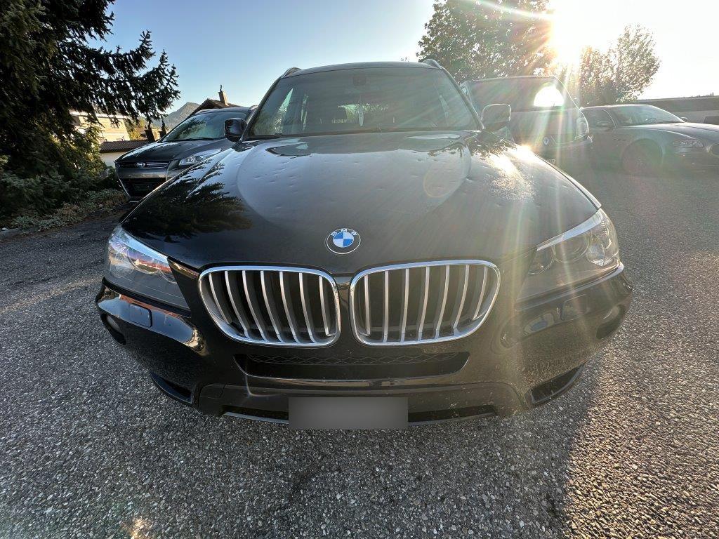 T6