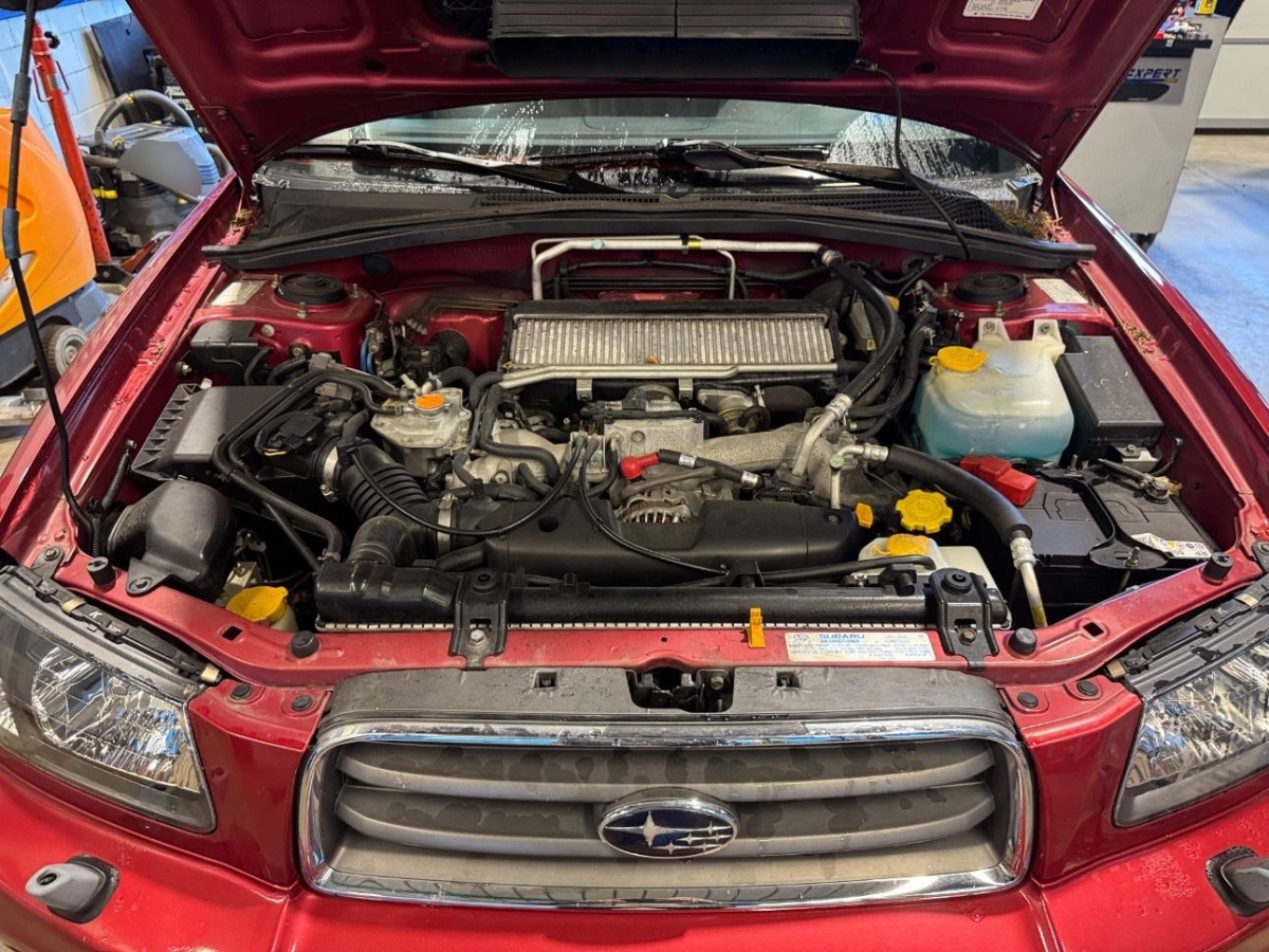 T8