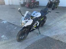 Kawasaki Ninja (25463 km)