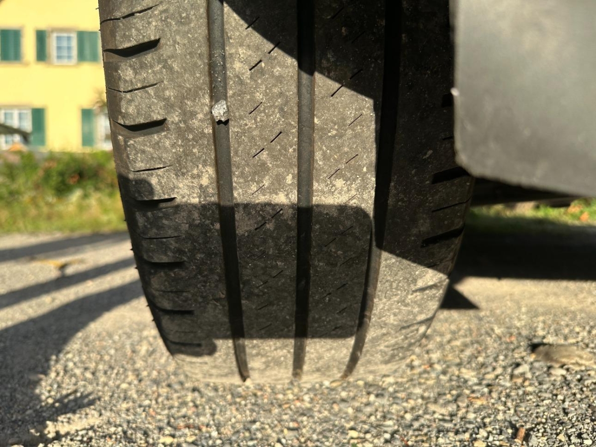 T19