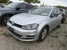 VW Golf VII (225264 km)