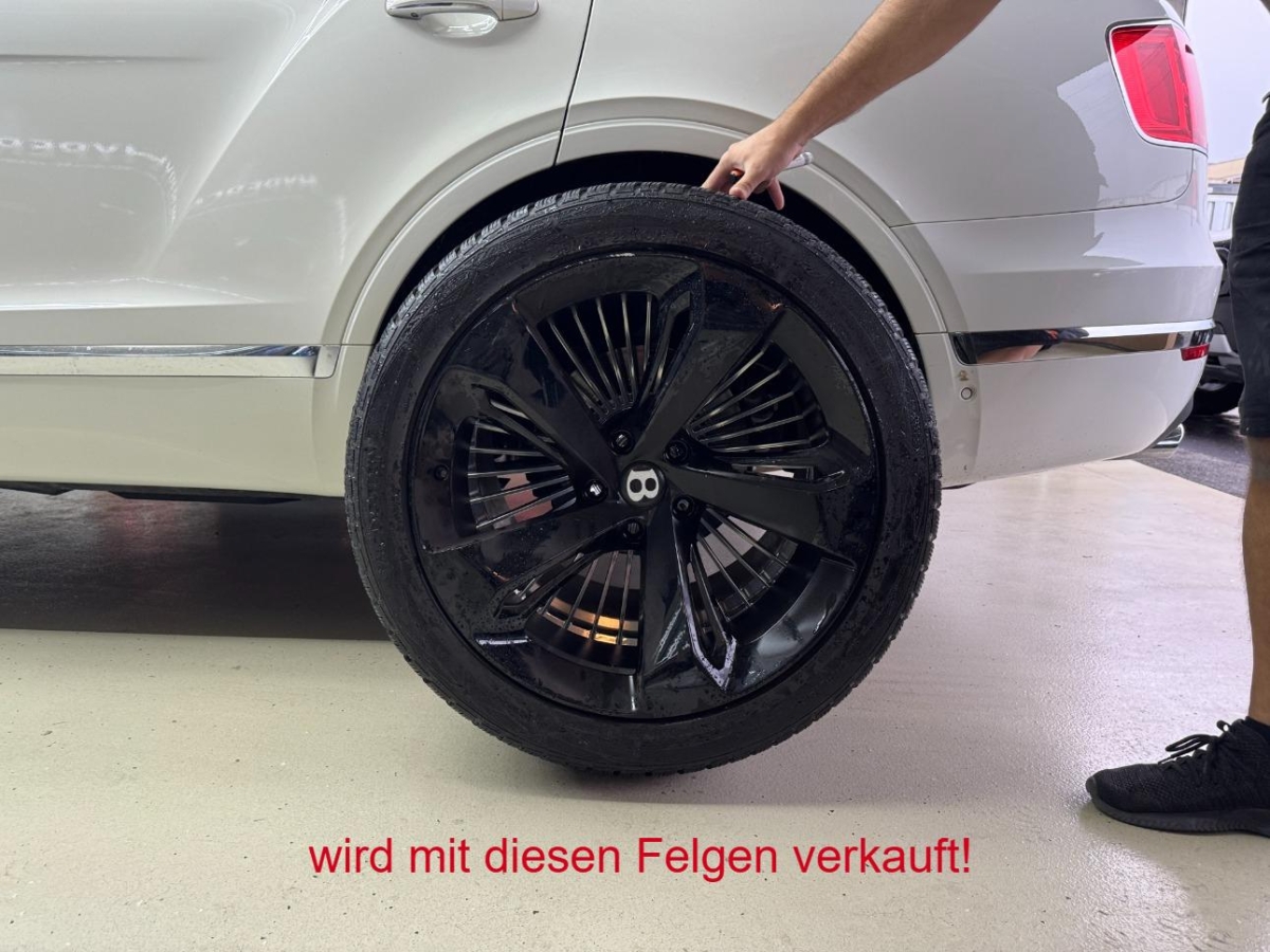 T19