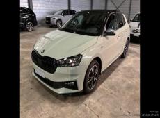 Skoda Fabia (3841 km)