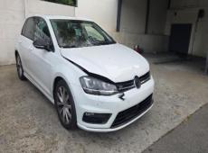 VW Golf VII (228093 km)