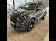 CUPRA Terramar (17200 km)