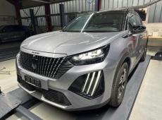 Peugeot 2008 (30207 km)