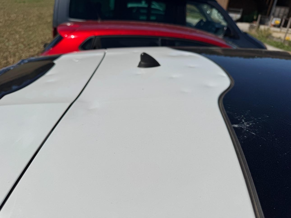 T17