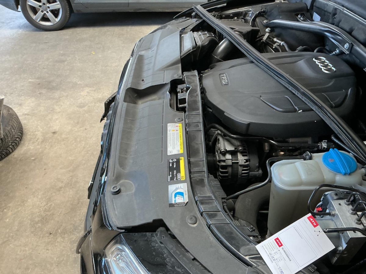 T13