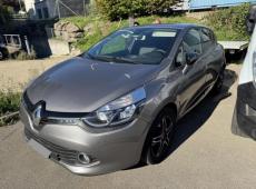 Renault Clio (137843 km)