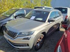 Skoda Kodiaq (116262 km)