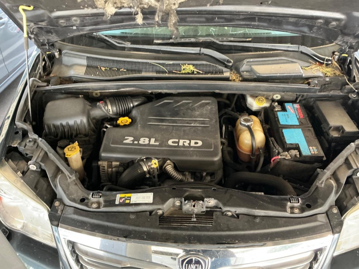 T11
