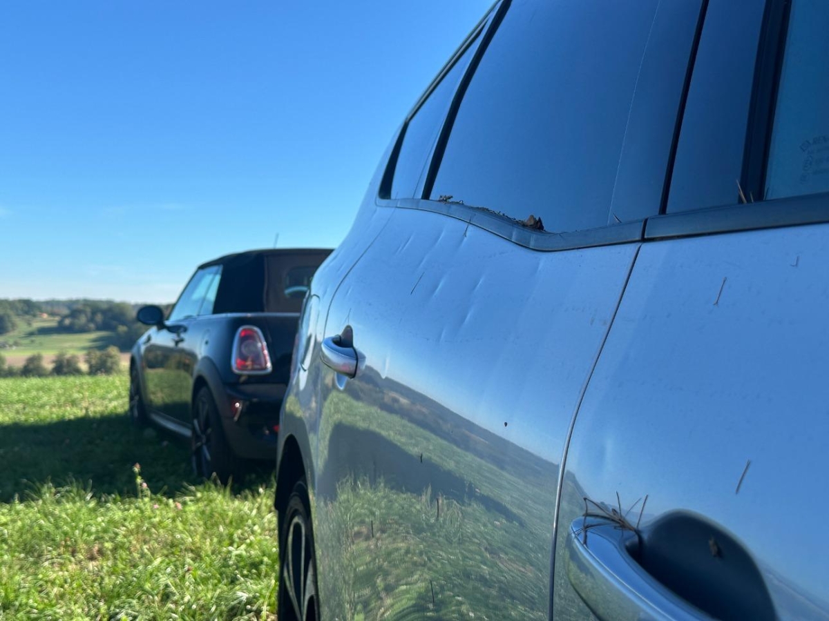 T19