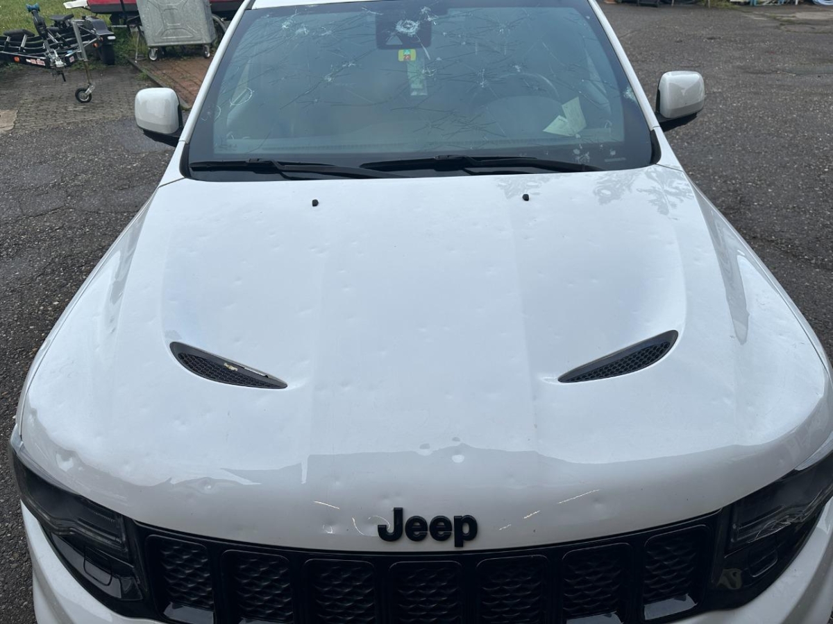 T11