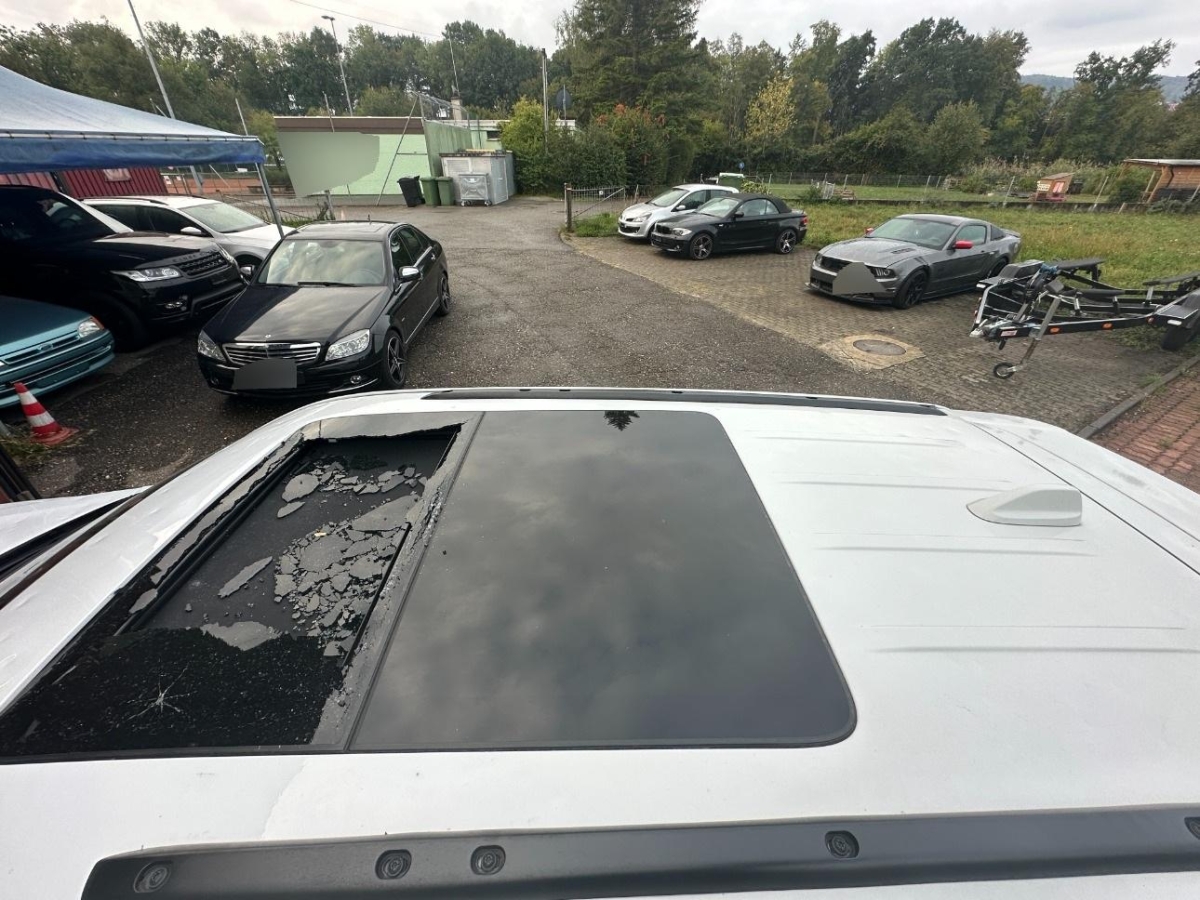 T12