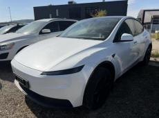 Tesla Model Y (4841 km)