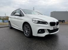 BMW 225e PHEV ID 481383