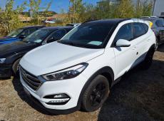 *Hyundai Tucson 2.0 CRDi 185 Plena 4WD ID 481447