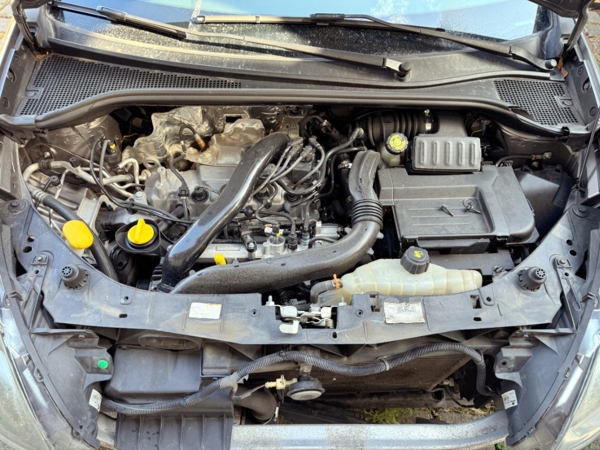 T11