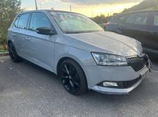 Skoda Fabia (105104 km)