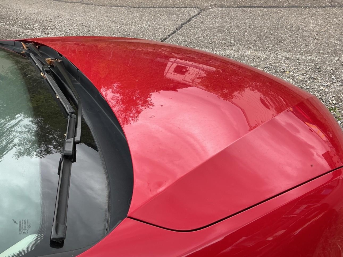 T12