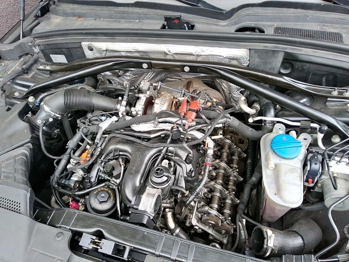 T6