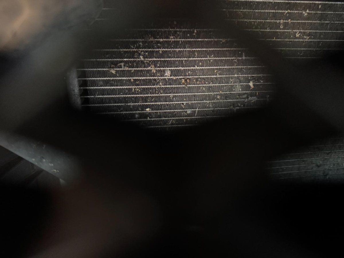 T17