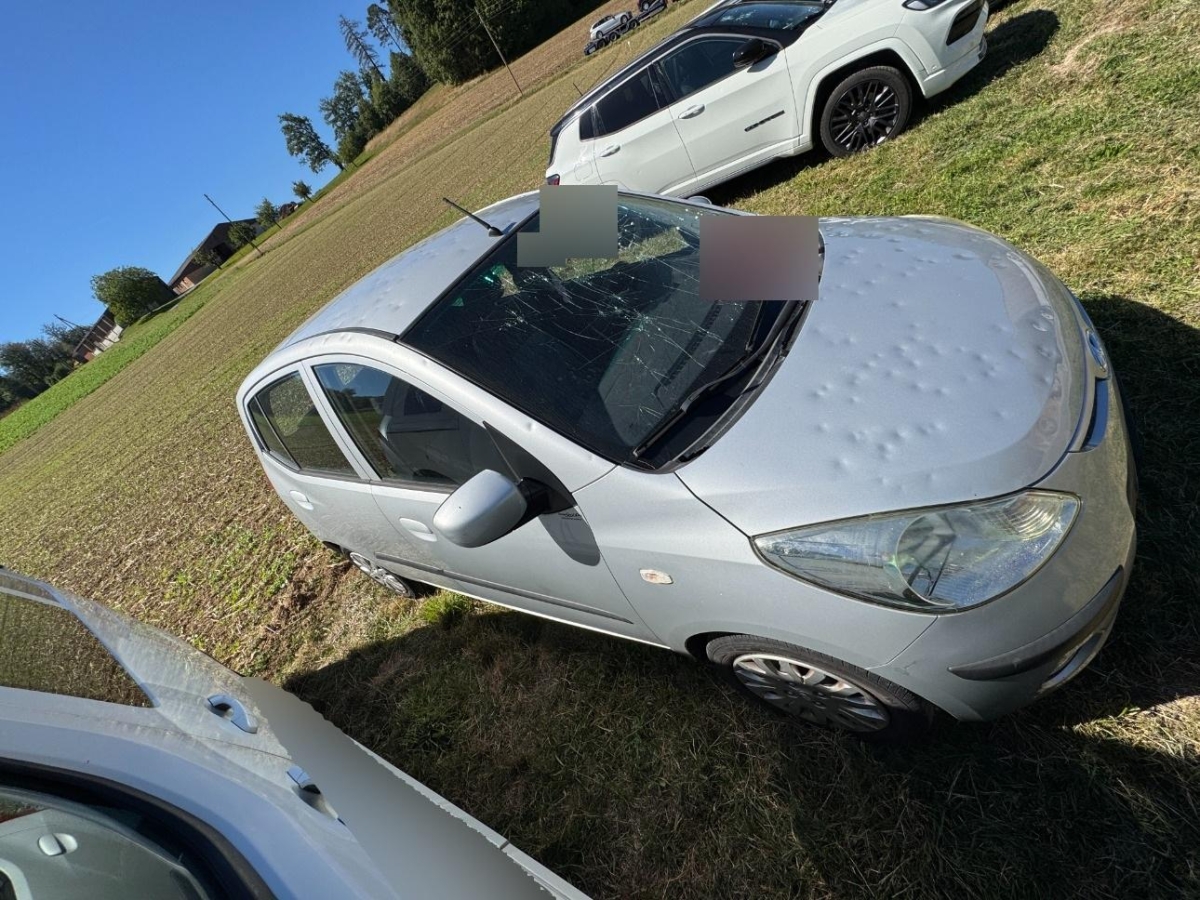T7